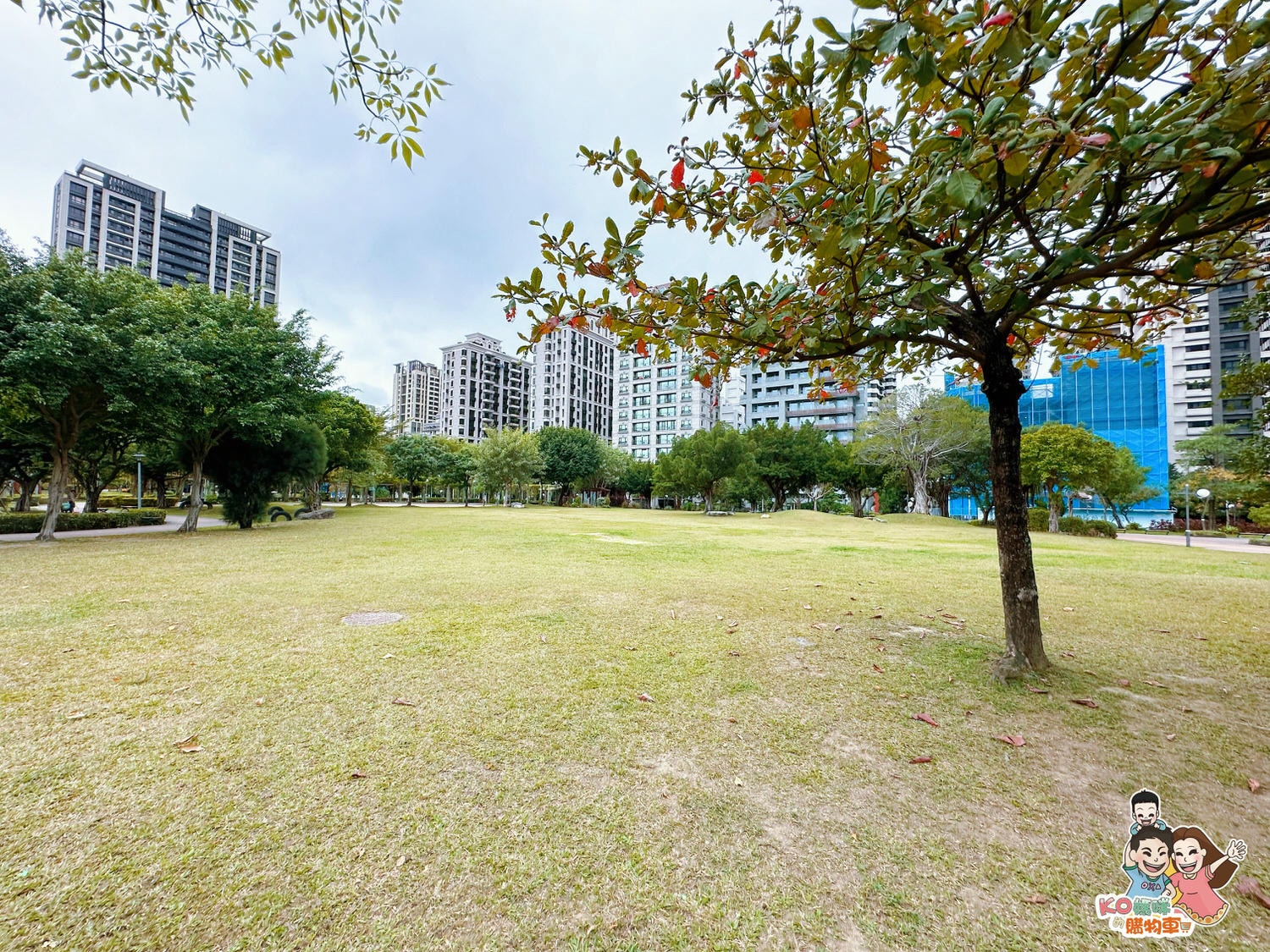新莊頭前 ▎共融特色公園-頭前運動公園 兩層樓高樹梢觀察遊戲塔 觀木平台落羽松生態池╮ - 第35張圖