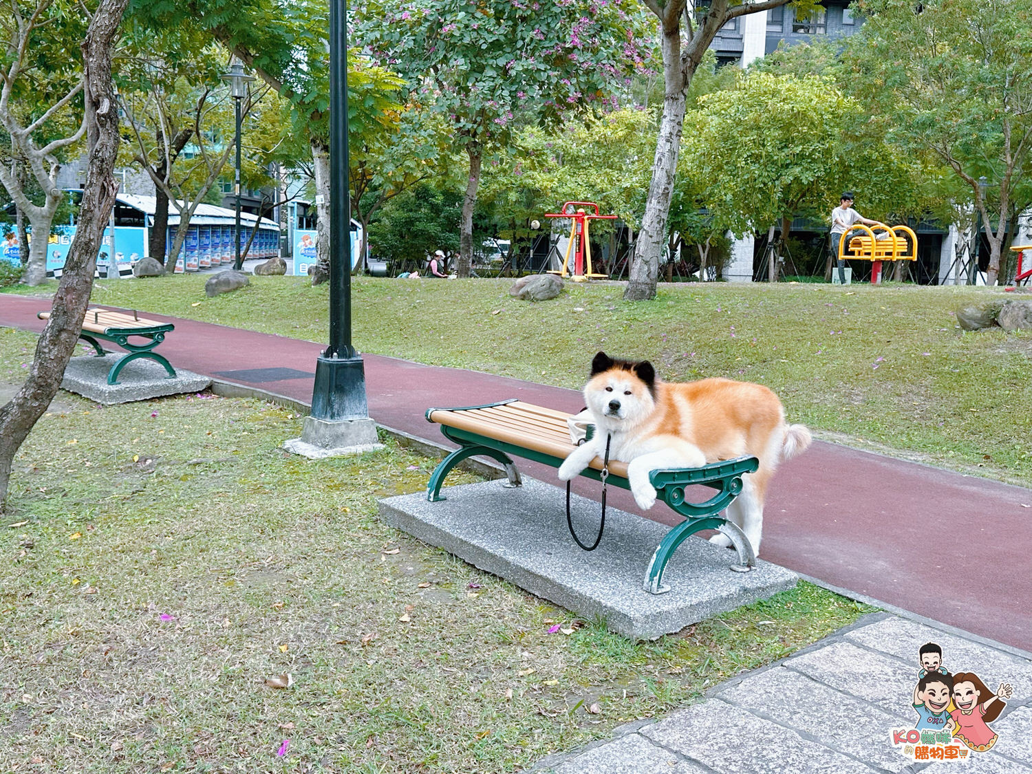 新莊頭前 ▎共融特色公園-頭前運動公園 兩層樓高樹梢觀察遊戲塔 觀木平台落羽松生態池╮ - 第41張圖
