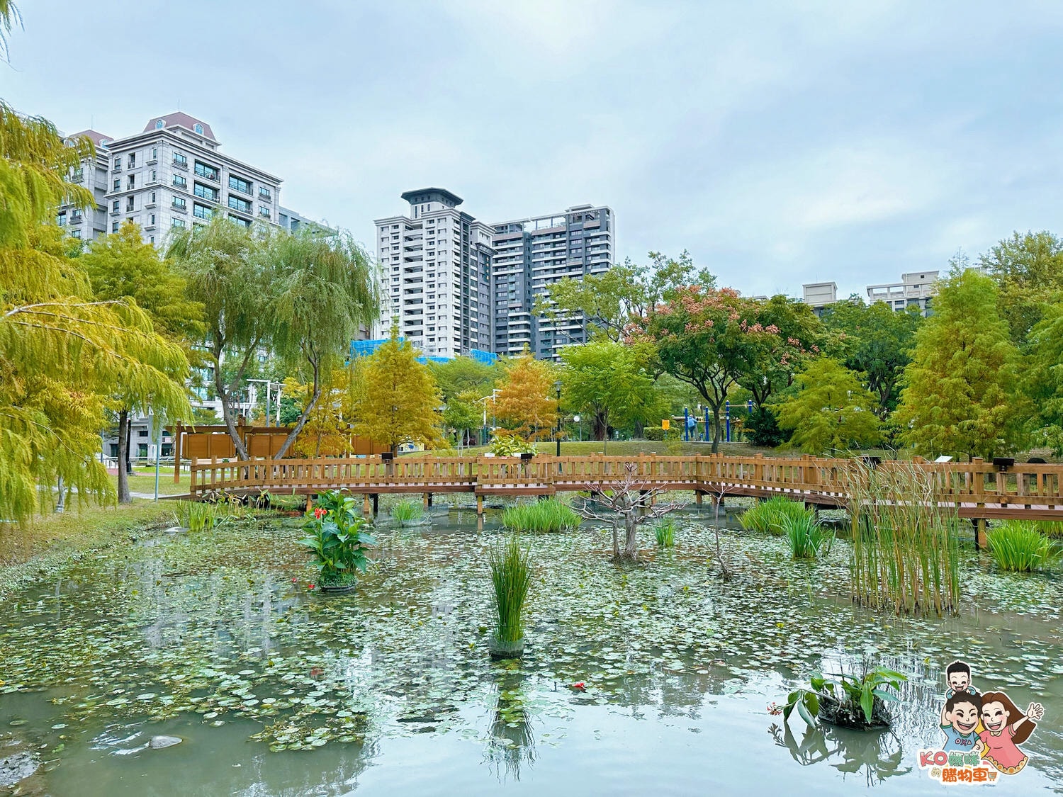 新莊頭前 ▎共融特色公園-頭前運動公園 兩層樓高樹梢觀察遊戲塔 觀木平台落羽松生態池╮ - 第26張圖