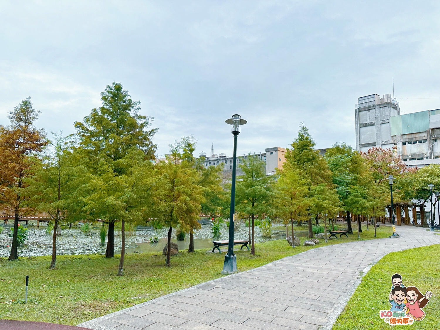 新莊頭前 ▎共融特色公園-頭前運動公園 兩層樓高樹梢觀察遊戲塔 觀木平台落羽松生態池╮ - 第29張圖