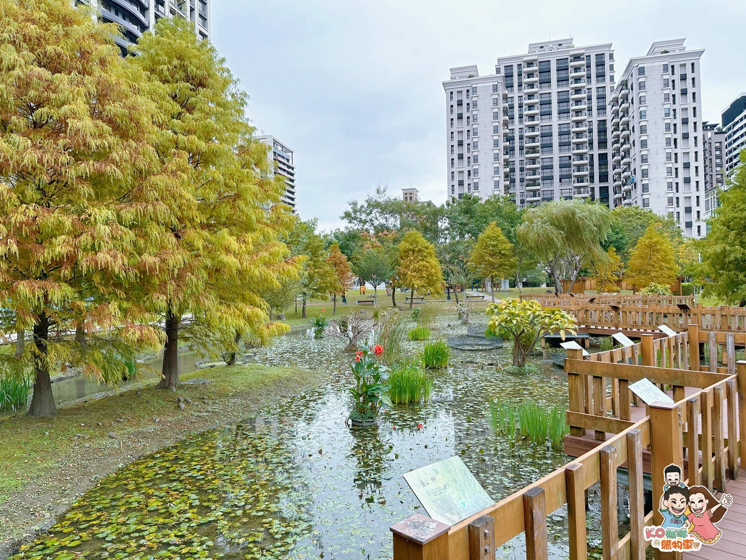 新莊頭前 ▎共融特色公園-頭前運動公園 兩層樓高樹梢觀察遊戲塔 觀木平台落羽松生態池╮ - 第21張圖