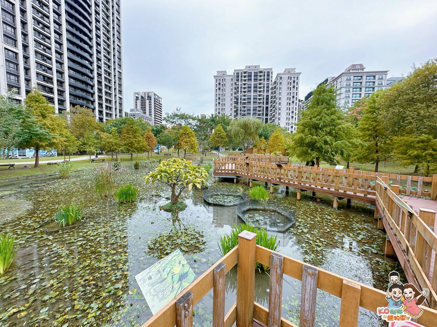 新莊頭前 ▎共融特色公園-頭前運動公園 兩層樓高樹梢觀察遊戲塔 觀木平台落羽松生態池╮ - 第27張圖