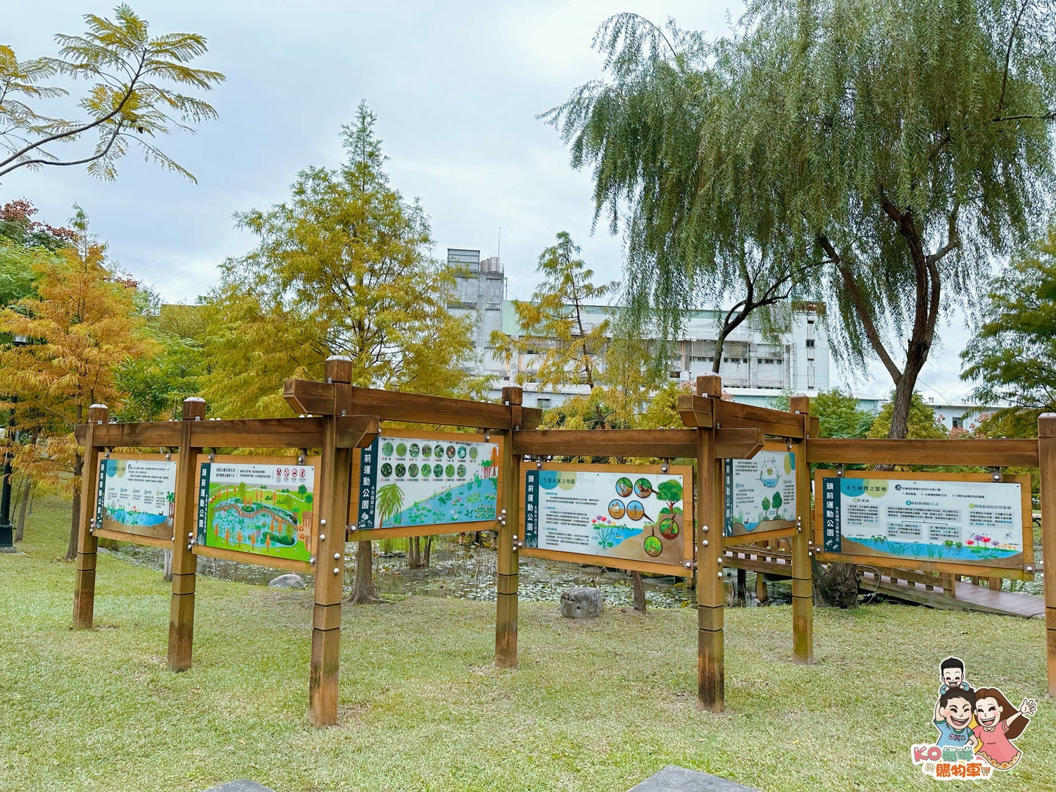 新莊頭前 ▎共融特色公園-頭前運動公園 兩層樓高樹梢觀察遊戲塔 觀木平台落羽松生態池╮ - 第22張圖